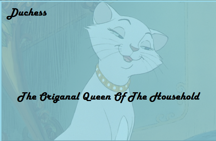 Desktop Queen of the house