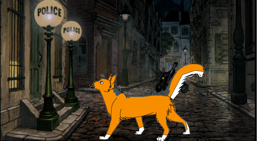 I'll find that cat!