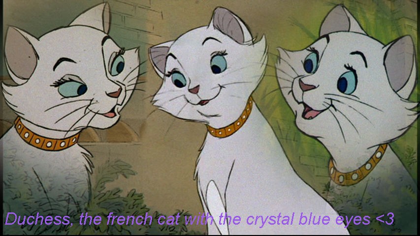 Duchess~