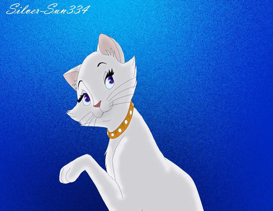 Duchess