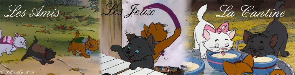 Chatons à l'école - Marie, Toulouse, Berlioz