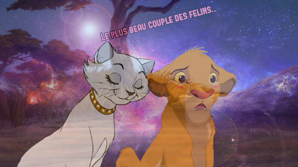 Avons
