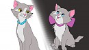 As Cat As kitten