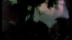 Fox and the Hound picture