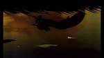 Fox and the Hound picture