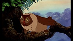 Fox and the Hound picture