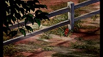 Fox and the Hound picture