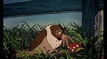 Fox and the Hound picture
