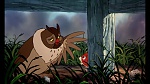 Fox and the Hound picture