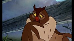Fox and the Hound picture