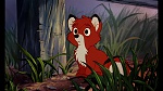 Fox and the Hound picture