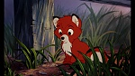 Fox and the Hound picture