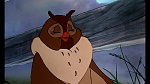 Fox and the Hound picture