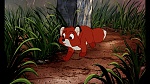 Fox and the Hound picture