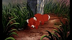 Fox and the Hound picture