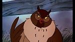 Fox and the Hound picture