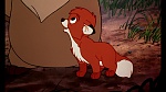 Fox and the Hound picture