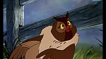 Fox and the Hound picture