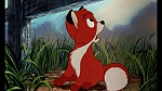 Fox and the Hound picture