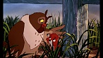 Fox and the Hound picture