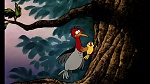 Fox and the Hound picture