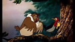 Fox and the Hound picture