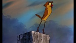 Fox and the Hound picture