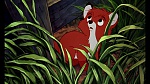 Fox and the Hound picture