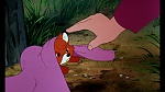 Fox and the Hound picture