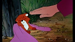 Fox and the Hound picture
