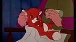 Fox and the Hound picture