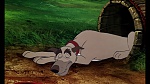 Fox and the Hound picture