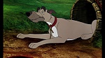 Fox and the Hound picture