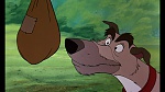 Fox and the Hound picture