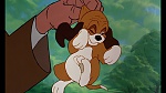 Fox and the Hound picture