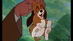 Fox and the Hound picture
