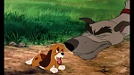 Fox and the Hound picture
