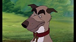 Fox and the Hound picture