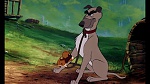 Fox and the Hound picture