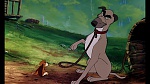 Fox and the Hound picture