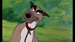 Fox and the Hound picture