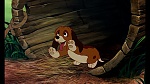 Fox and the Hound picture