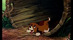 Fox and the Hound picture