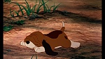 Image Fox and the Hound