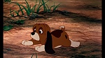 Fox and the Hound picture