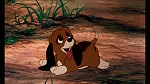 Fox and the Hound picture