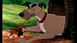 Image Fox and the Hound