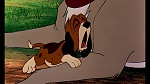 Fox and the Hound picture