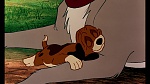 Fox and the Hound picture