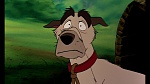 Fox and the Hound picture